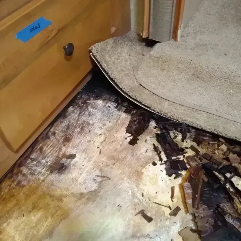 Wood Floor Water Damage in Shawnee, OK